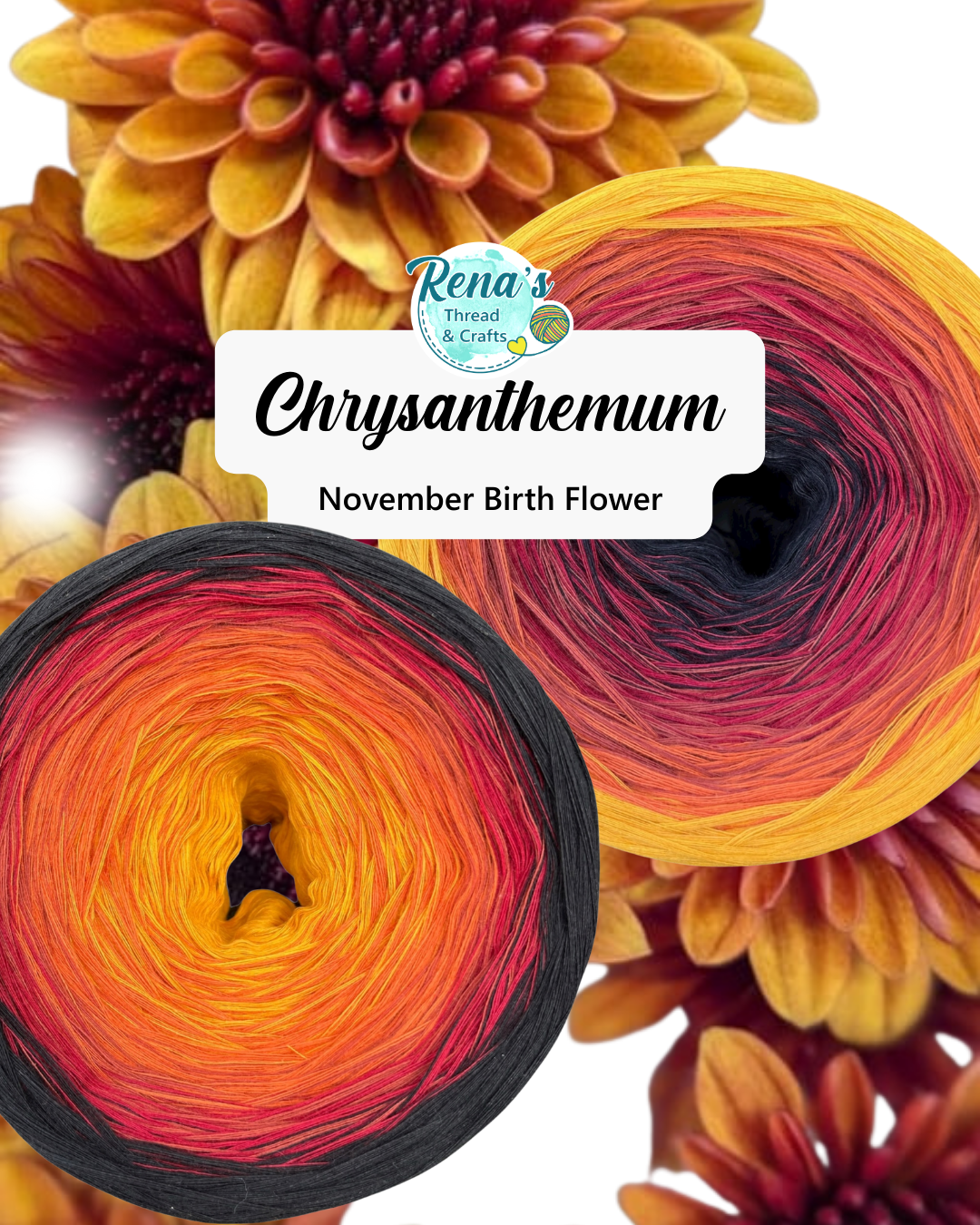 November - Chrysanthemum, Gradient Cotton Natural Fiber Yarn - Rena'sThreadandCrafts