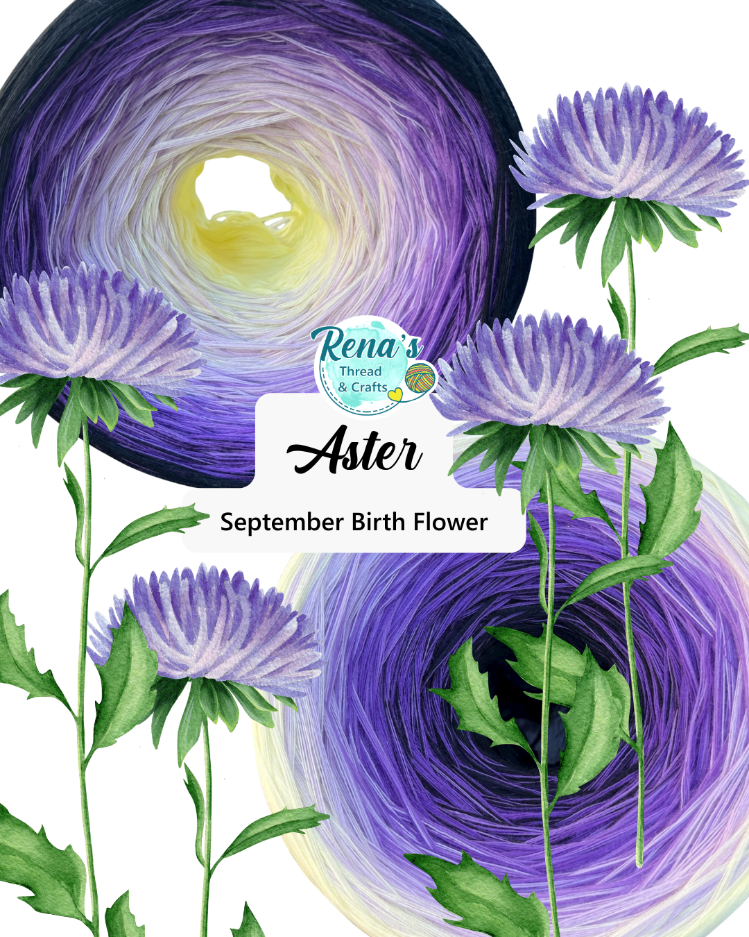 September - Aster, Gradient Cotton Natural Fiber Yarn - Rena'sThreadandCrafts